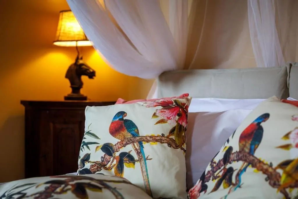 Apartment Canal View & San Marco Tower Prestigioso Appartamento Storico Venice